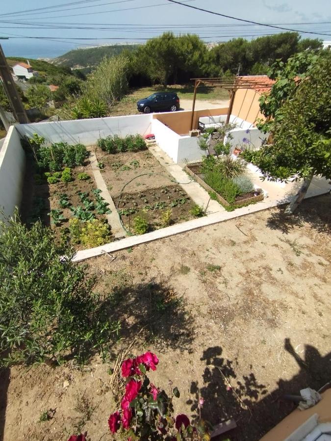 Sunset House Villa Sao Juliao Eksteriør billede